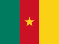 Flag of Cameroon