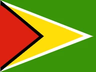 Flag of Guyana